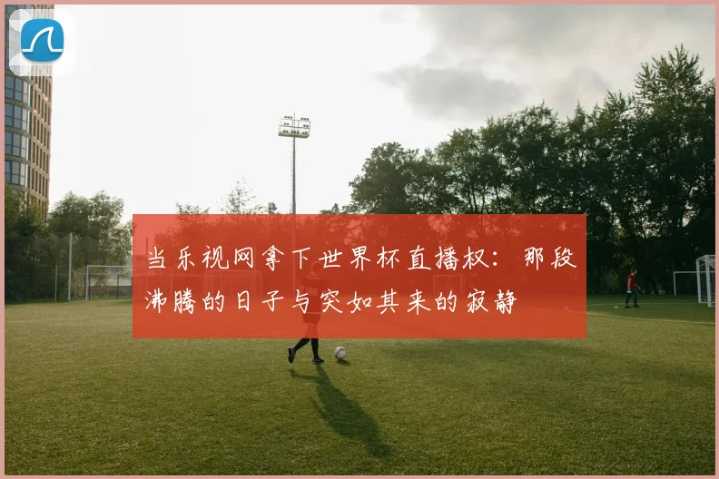 当乐视网拿下世界杯直播权：那段沸腾的日子与突如其来的寂静