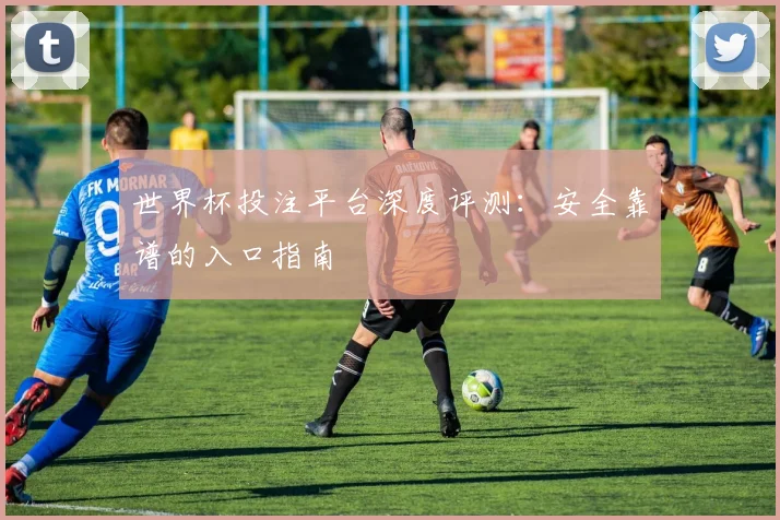 世界杯投注平台深度评测：安全靠谱的入口指南