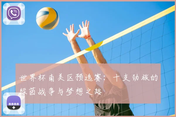 世界杯南美区预选赛：十支劲旅的绿茵战争与梦想之路