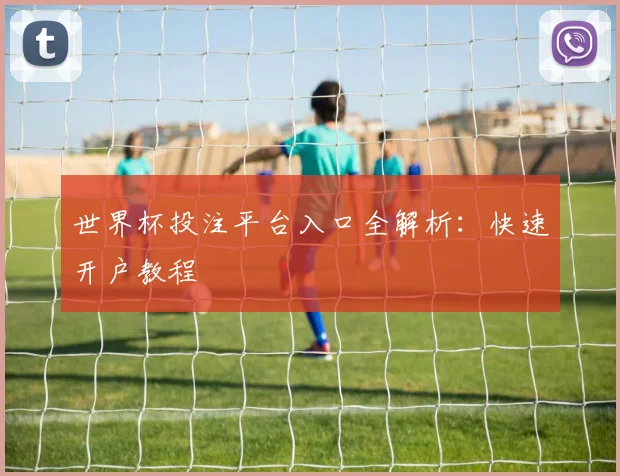 世界杯投注平台入口全解析：快速开户教程