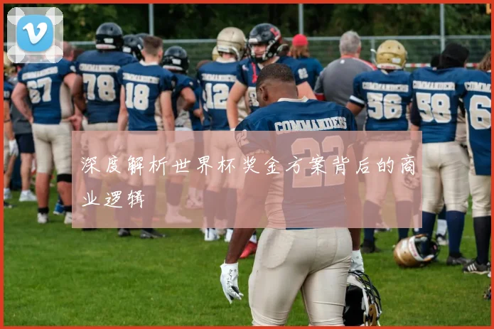 深度解析世界杯奖金方案背后的商业逻辑