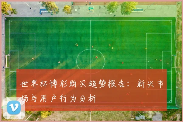 世界杯博彩购买趋势报告：新兴市场与用户行为分析