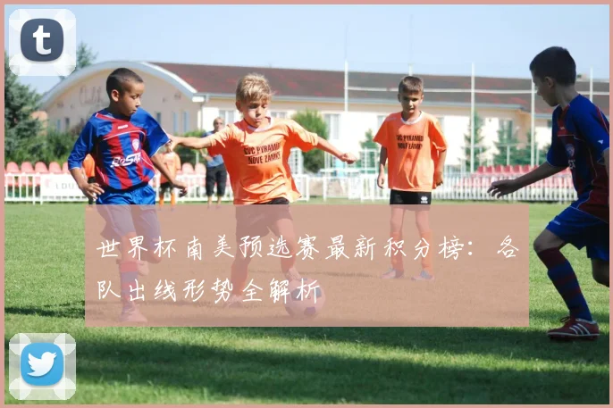 世界杯南美预选赛最新积分榜：各队出线形势全解析
