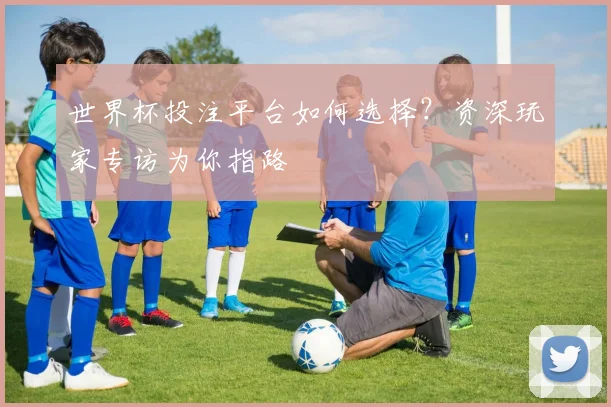 世界杯投注平台如何选择？资深玩家专访为你指路