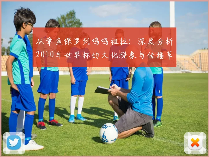 从章鱼保罗到呜呜祖拉：深度分析2010年世界杯的文化现象与传播革命