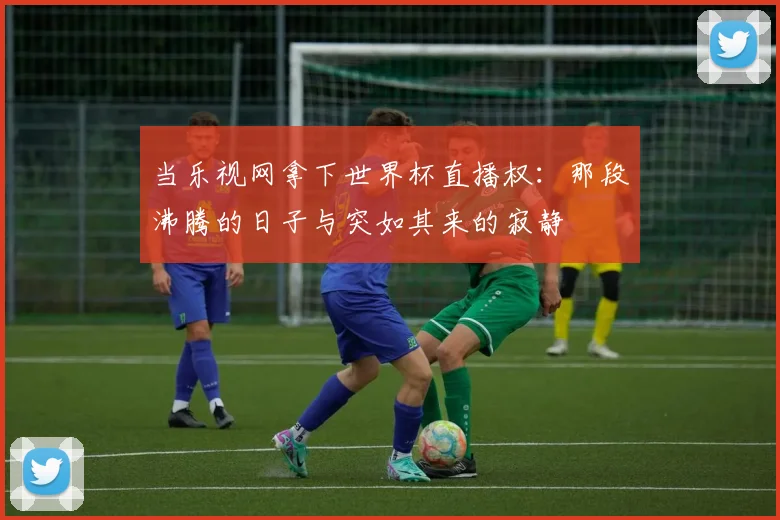 当乐视网拿下世界杯直播权：那段沸腾的日子与突如其来的寂静