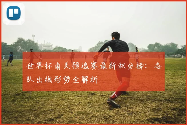 世界杯南美预选赛最新积分榜：各队出线形势全解析