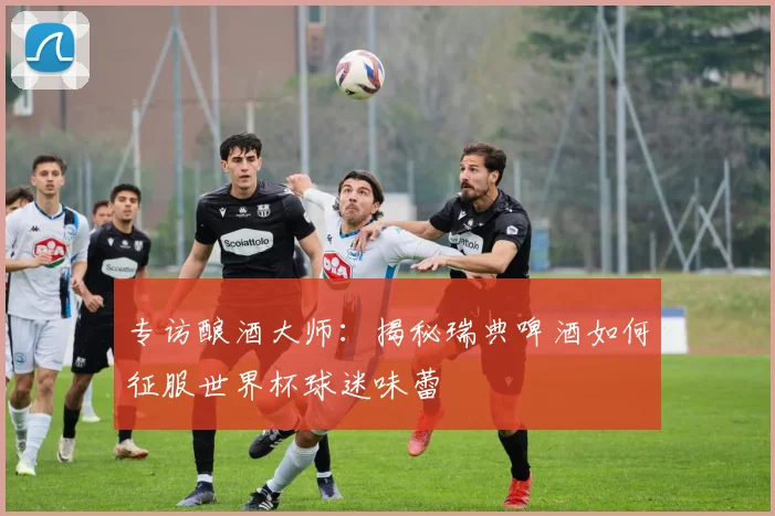 专访酿酒大师：揭秘瑞典啤酒如何征服世界杯球迷味蕾