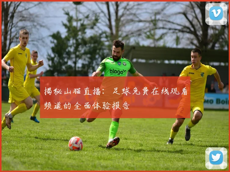 揭秘山猫直播：足球免费在线观看频道的全面体验报告