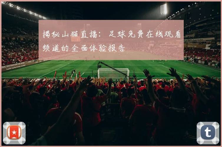 揭秘山猫直播：足球免费在线观看频道的全面体验报告