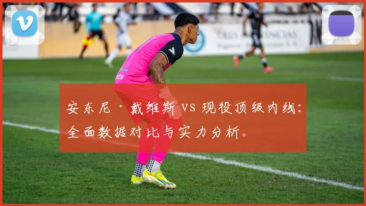 安东尼·戴维斯 vs 现役顶级内线：全面数据对比与实力分析。