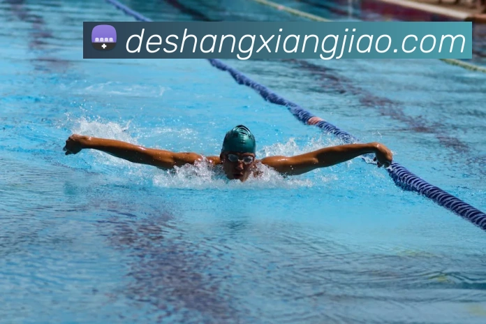 爱游戏ayx首页官网平台生态图